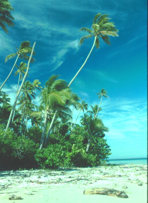 an image