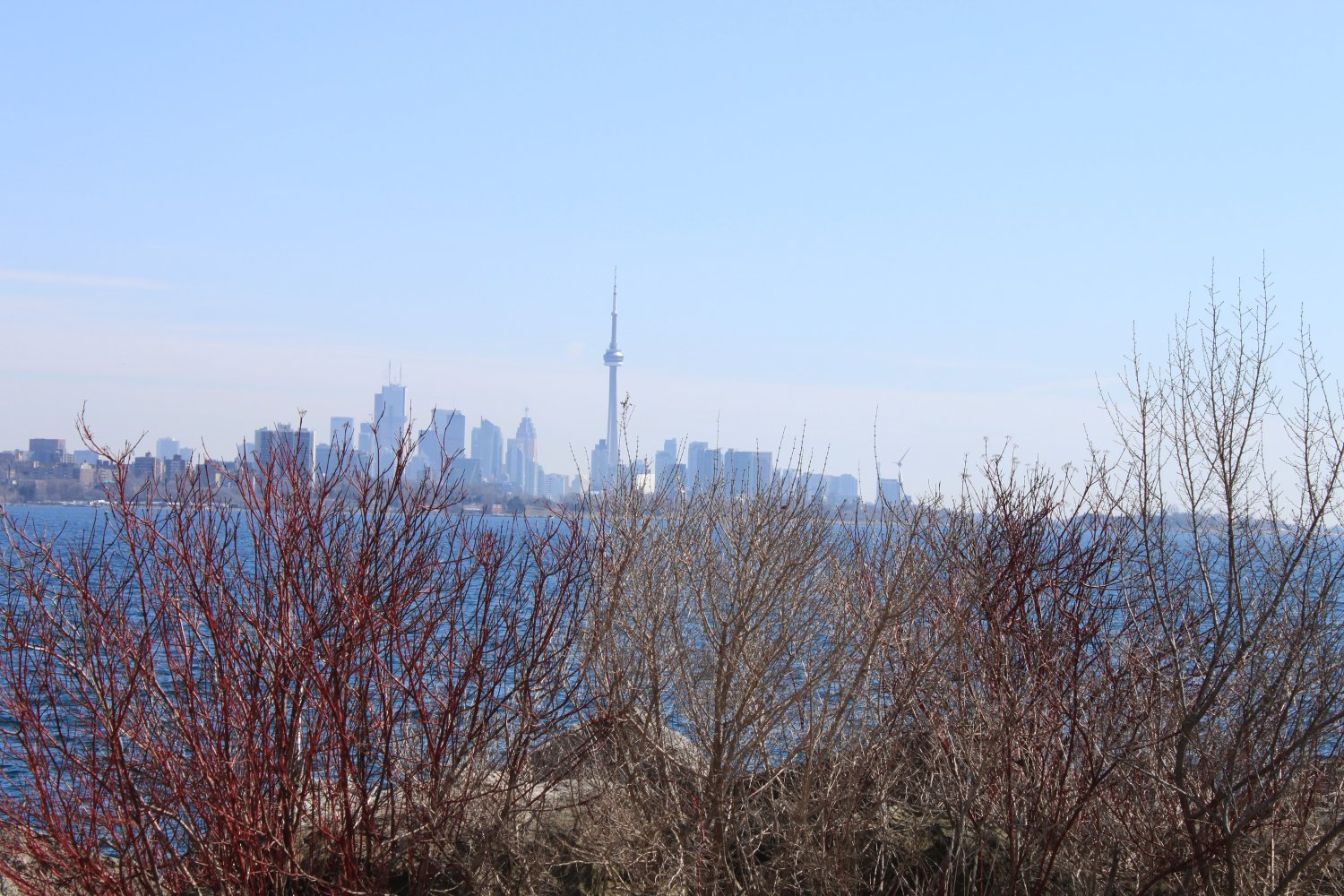 Toronto skyline